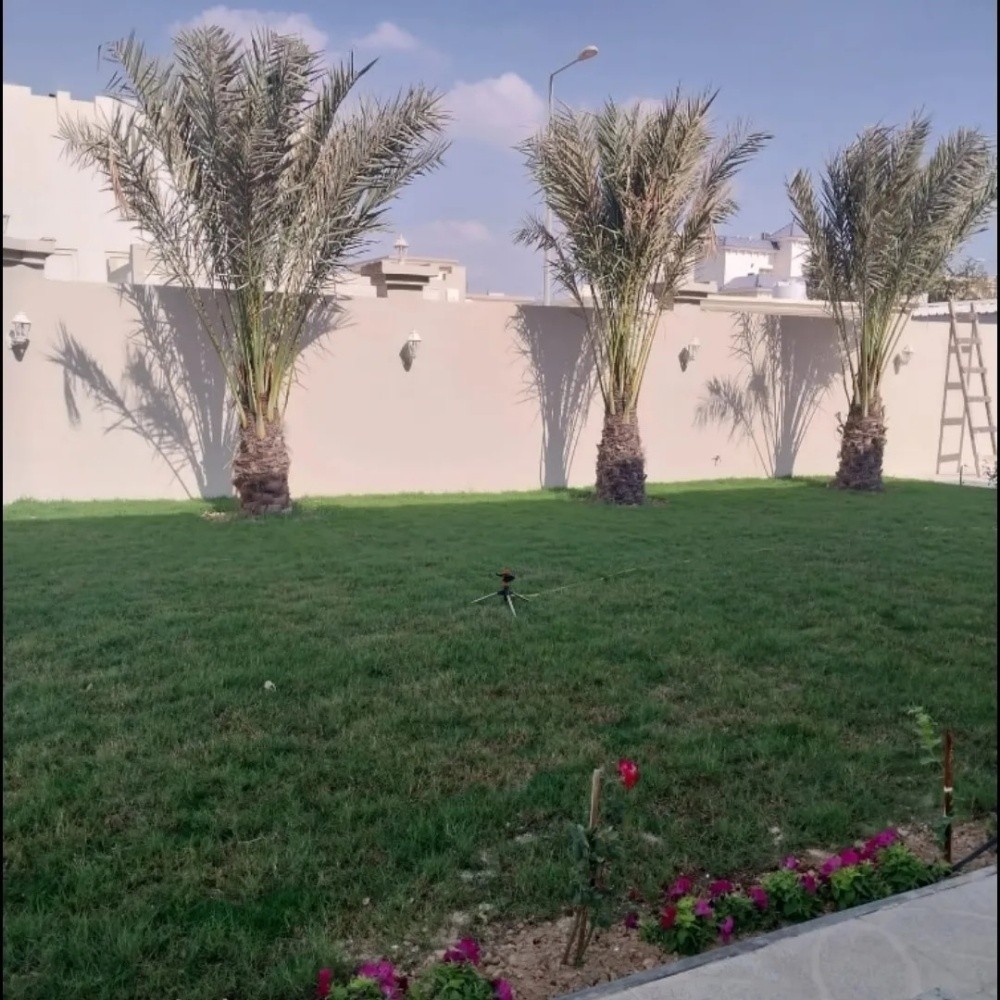 خبراء النخيل في خدمتكم - 4