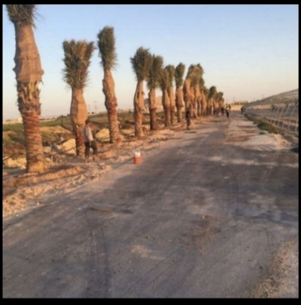 خبراء النخيل في خدمتكم - 11