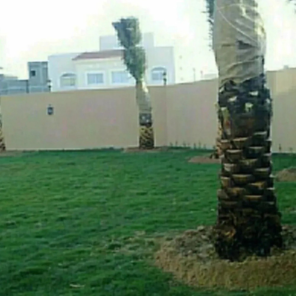 خبراء النخيل في خدمتكم - 9