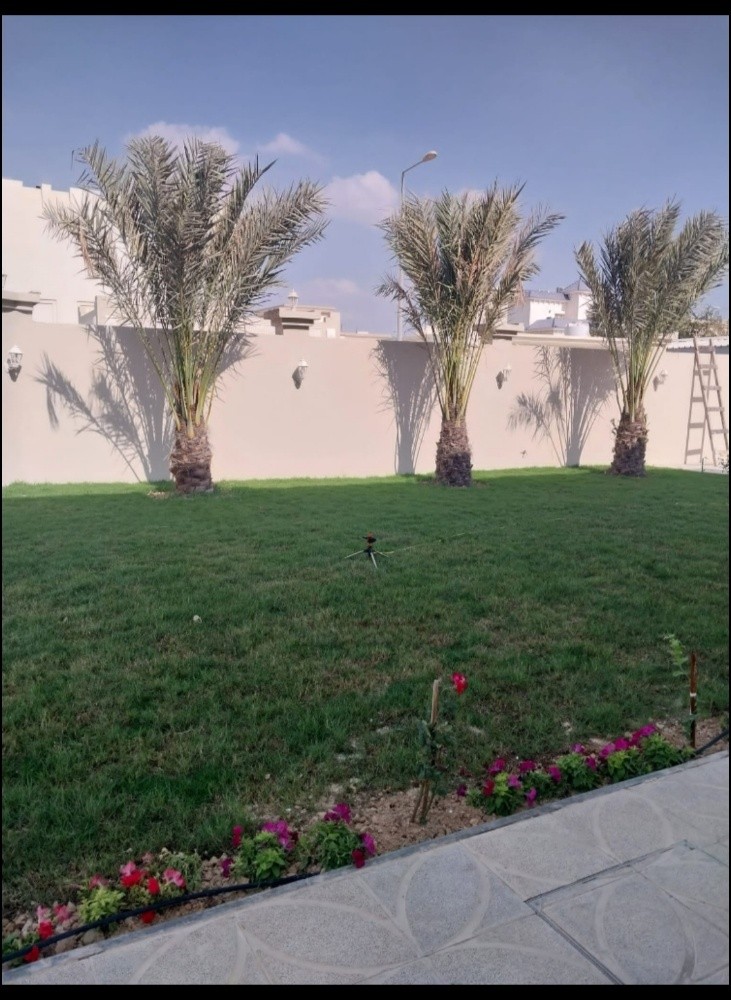 خبراء النخيل في خدمتكم - 5