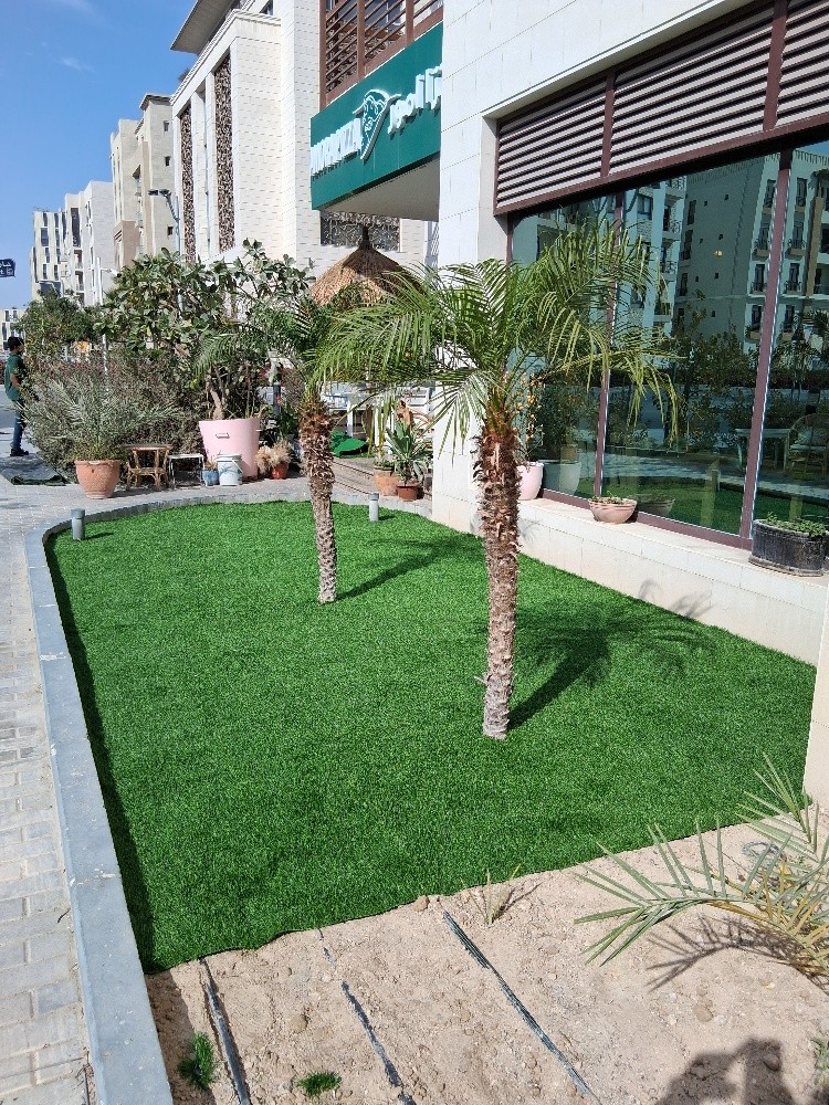 Out Door Grass Carper - 7