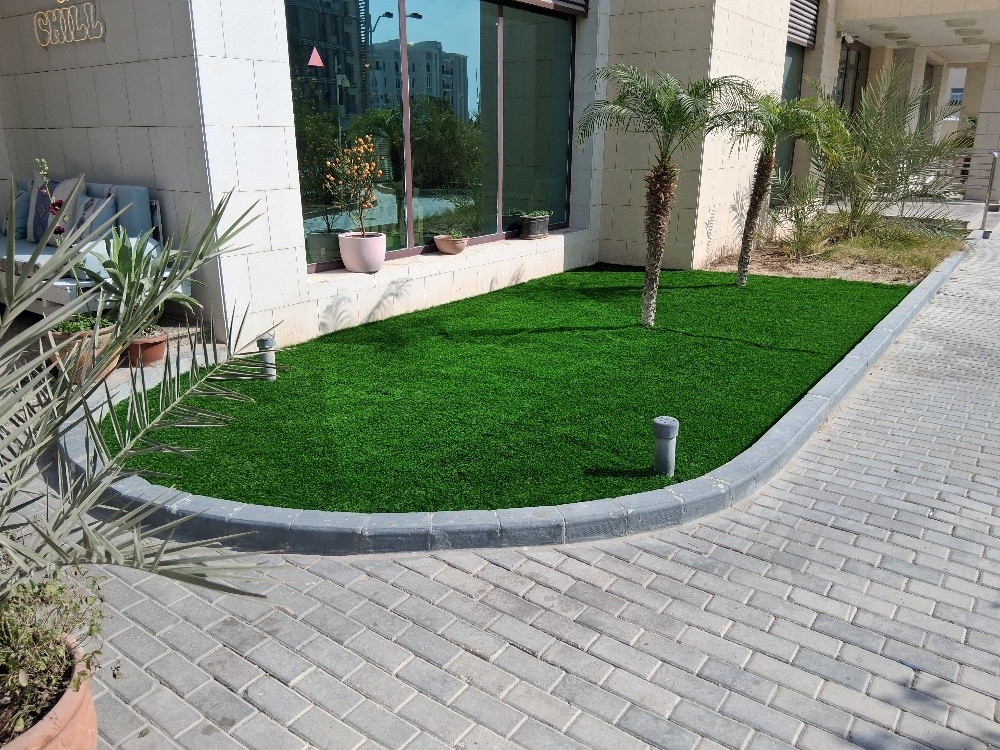 Out Door Grass Carper - 5