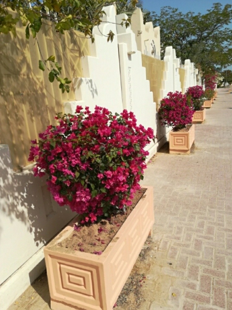 احواض زراعه جهزه قصيص - 7