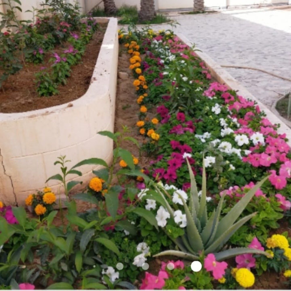 ديكور حدائق - 2