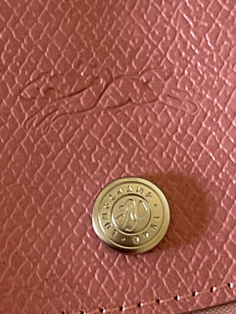 long champ mid size - 3
