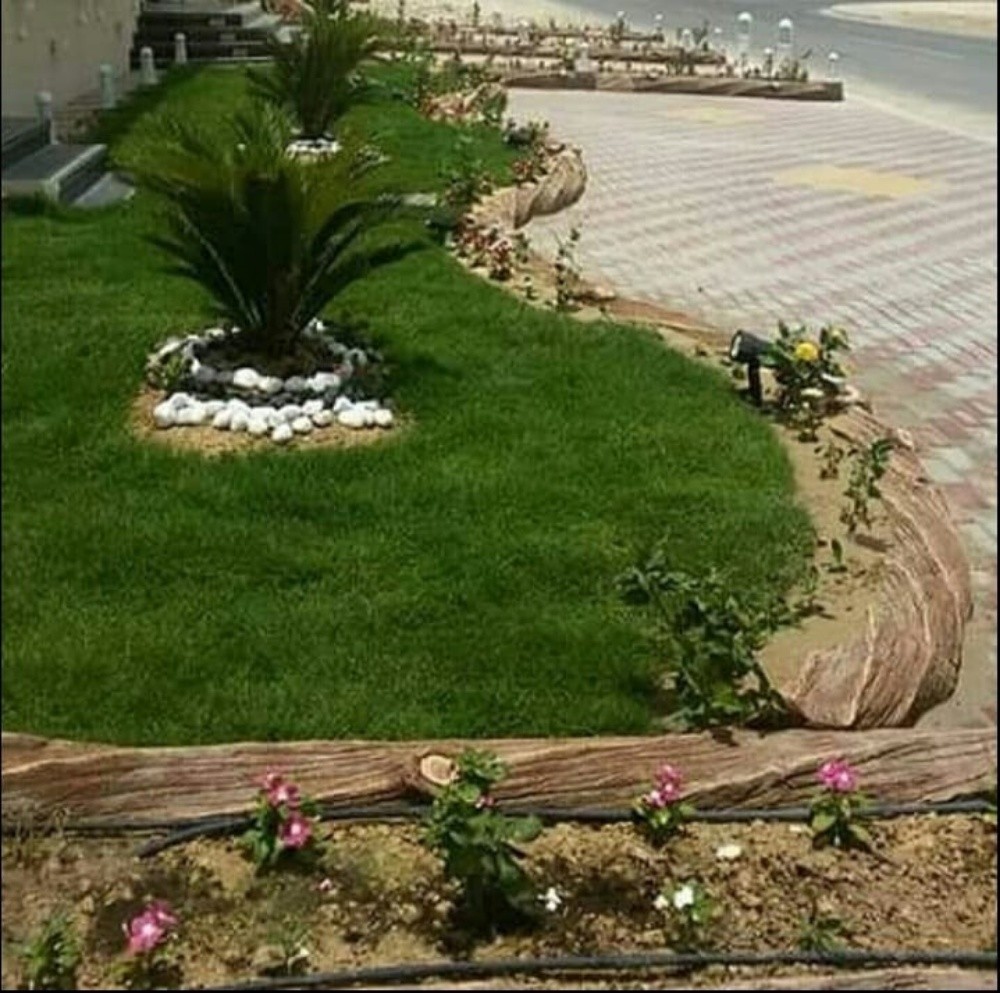 زراعة وتنسيق الحدائق المنزلية - 4