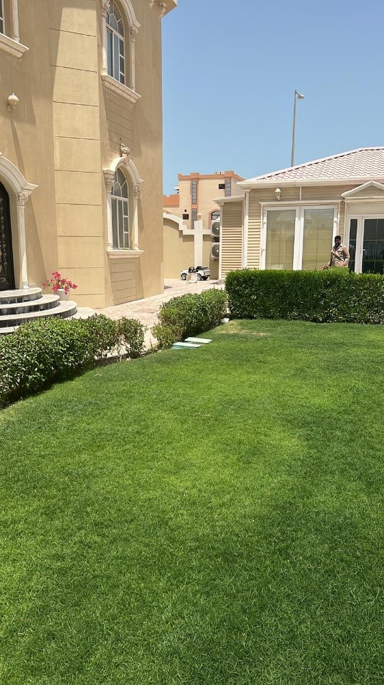 زراعة وتنسيق الحدائق المنزلية - 1