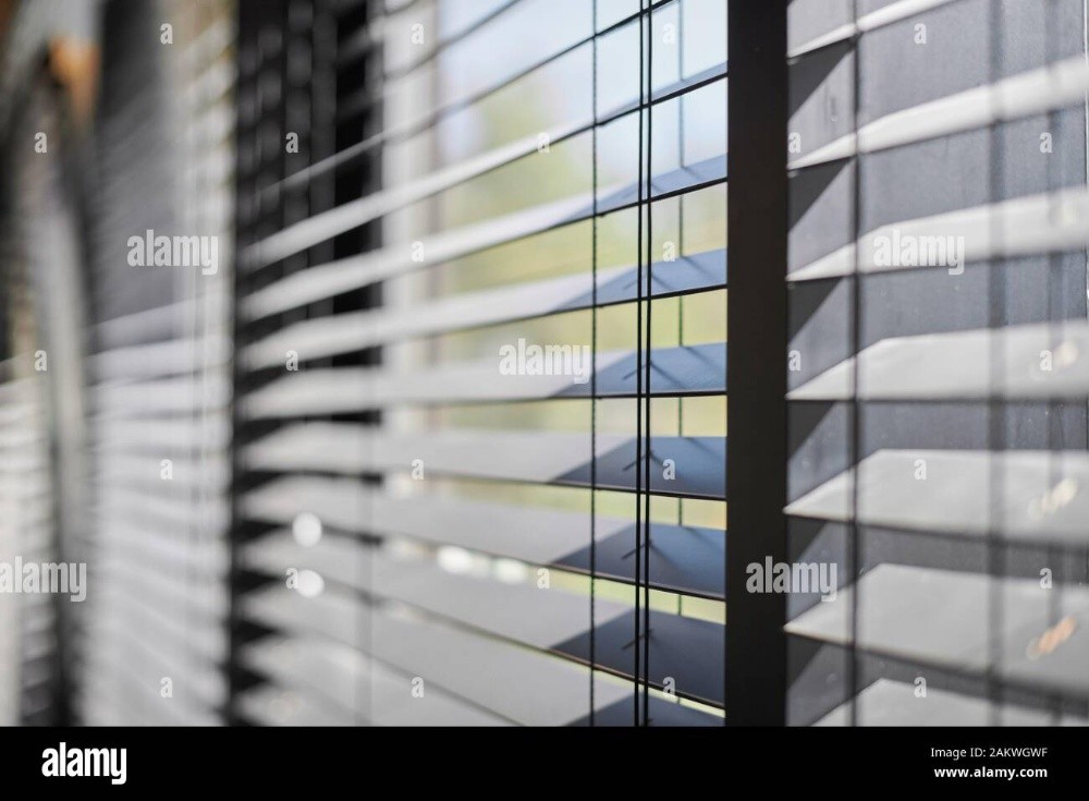 Curtain Blind Verticals Sunscreen - 3