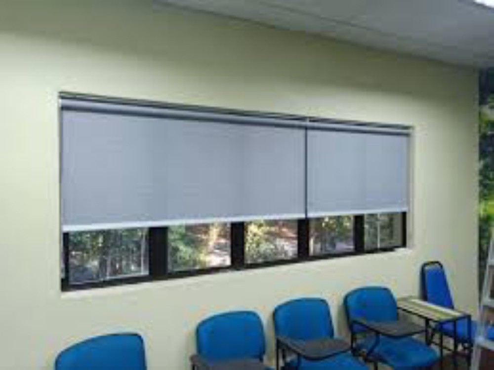 Curtain Blind Verticals Sunscreen - 5