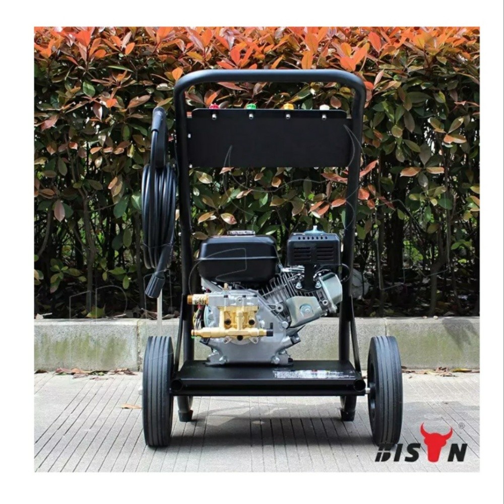 Bison 170Bar 2500 psi - 4