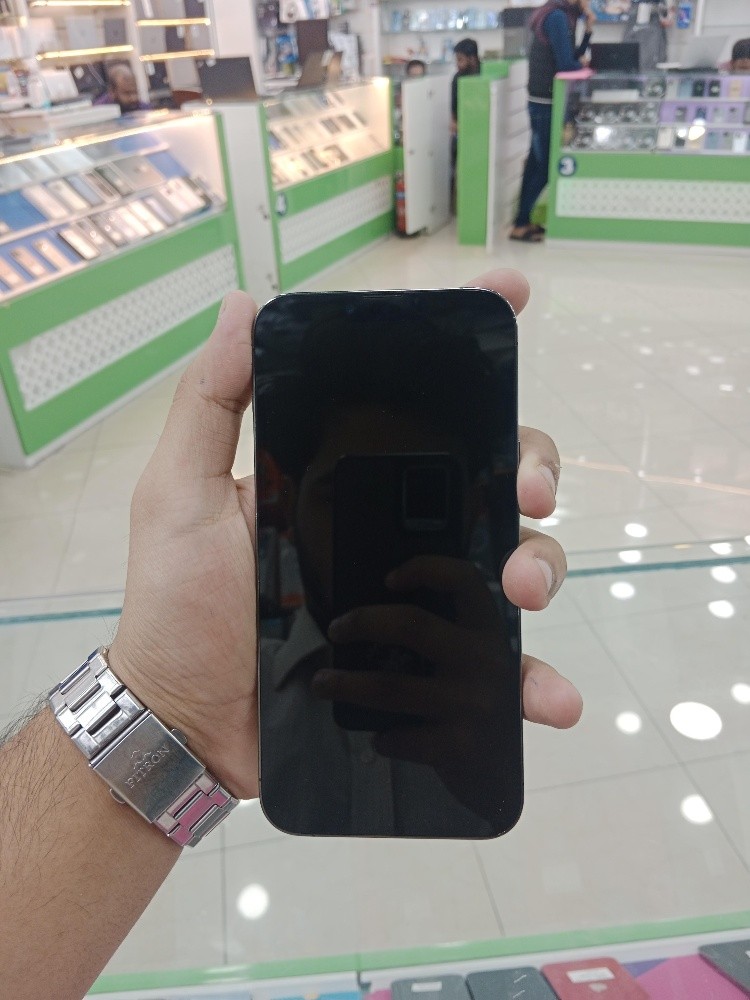 iPhone 13 Pro Max (256) - 2