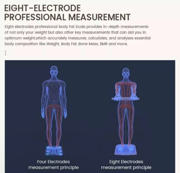 BMI Scale - 6