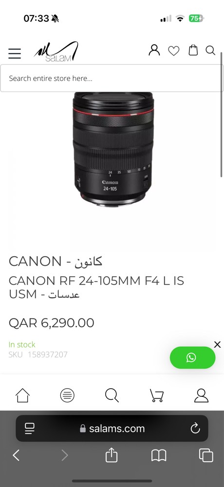 RF 24-105 F4 - 2