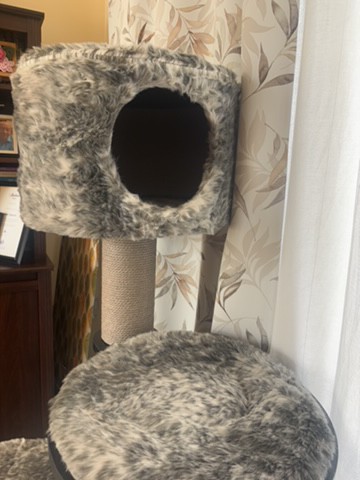 cat house - 2