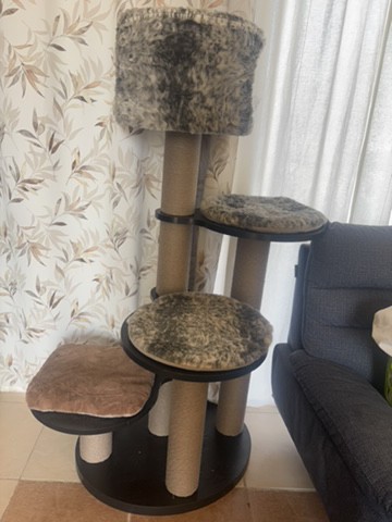 cat house - 1