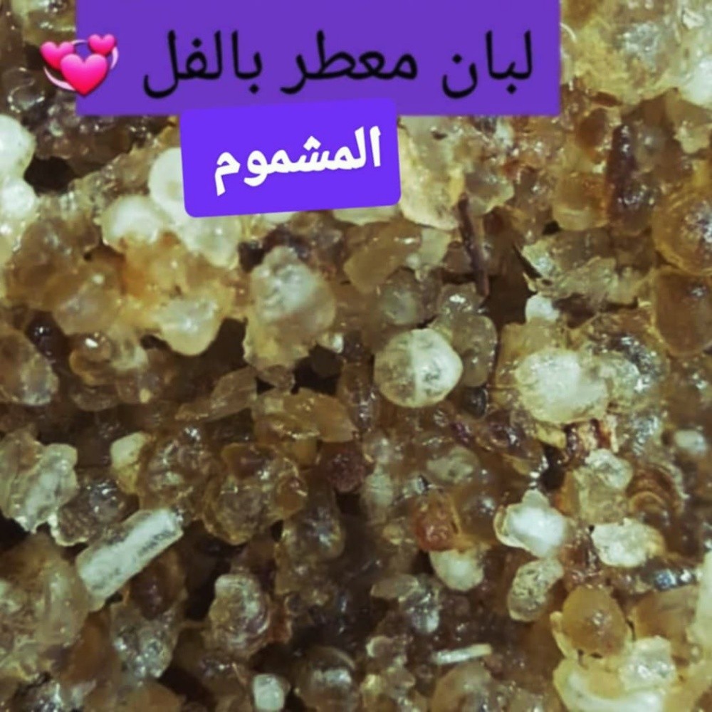 اللبان المسقي الجميل ومسك الطهارة - 5