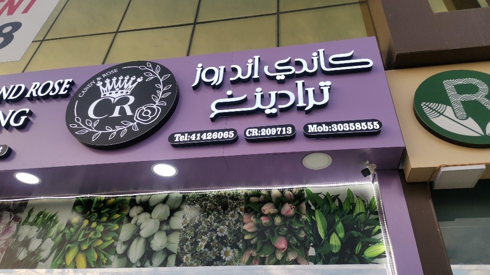 تصميم وتنفيذ جميع انواع الديكورات - 2
