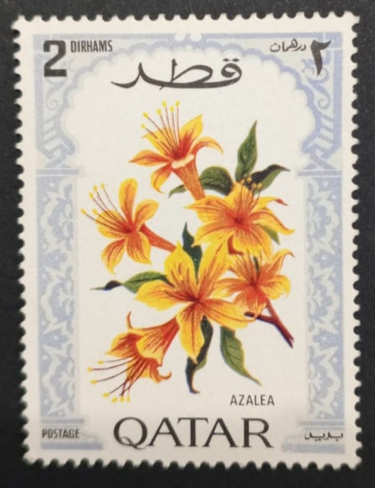 سليم فارس حسان - 15