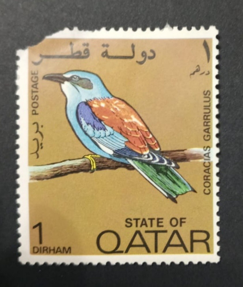 سليم فارس حسان - 7