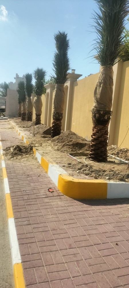 زراعة حدائق - 2