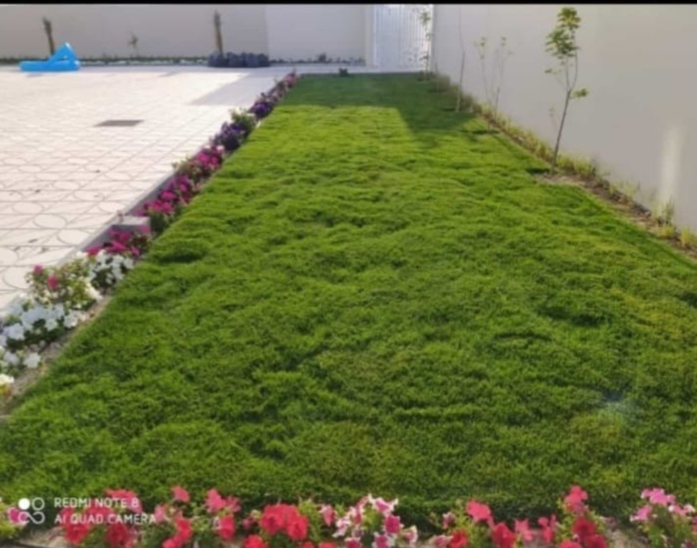 تنسيق الحدائق - 10