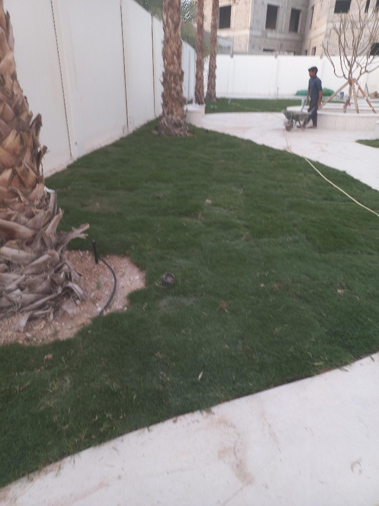 زراعة العشب - 6