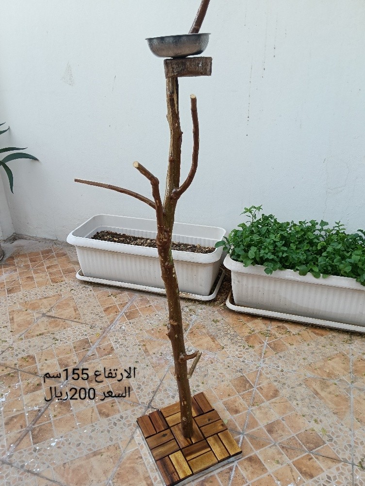 للبيع - 6