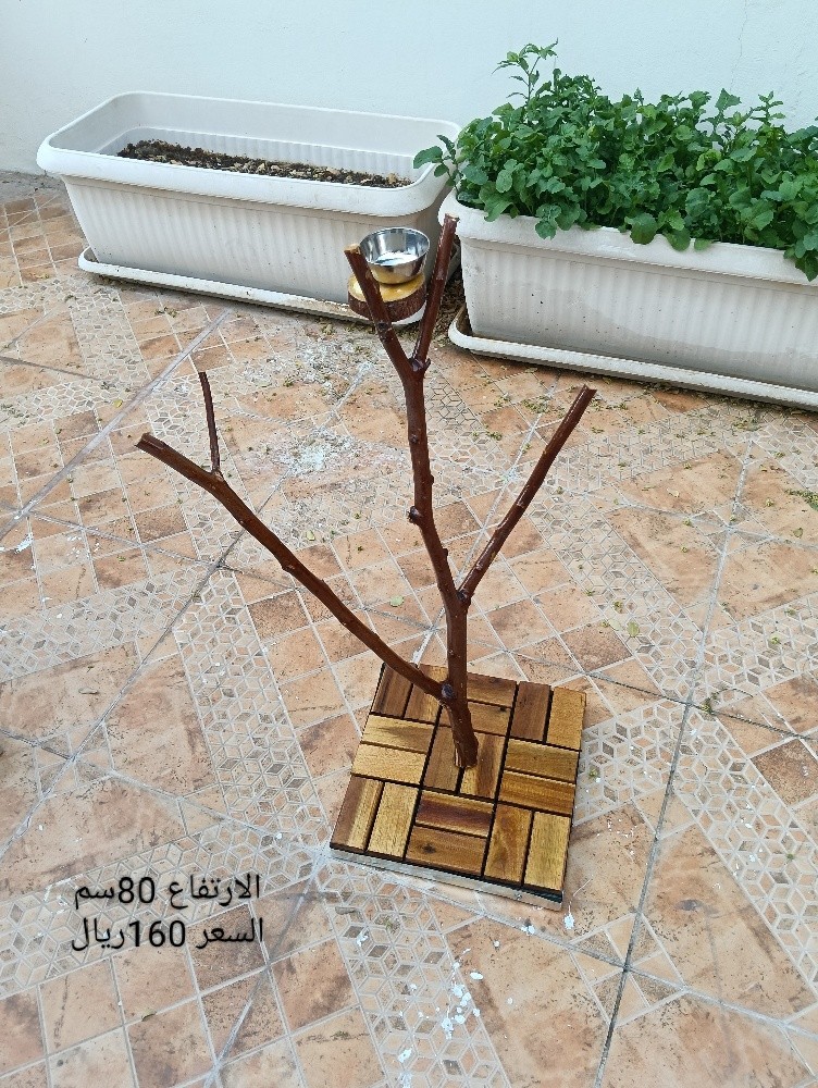للبيع - 7