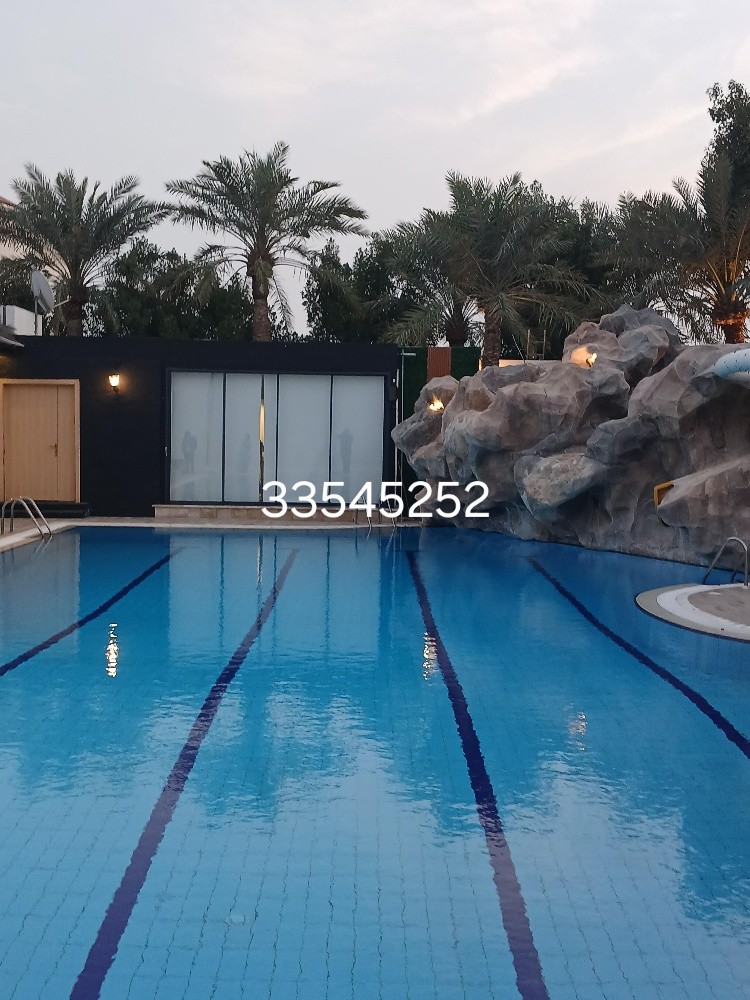 لاند سكيب عشب صناعي ديكور الطوافة - 5