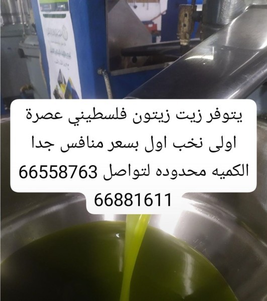 زيت زيتون فلسطيني عصرة اولى - 1