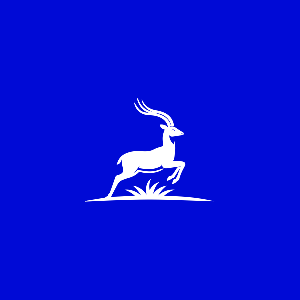 Senior Graphic & Brand Designer - 4