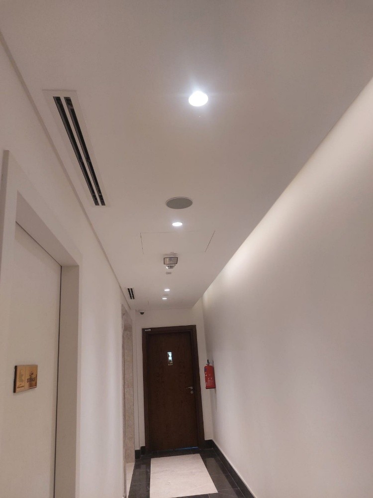 صبغ - 4