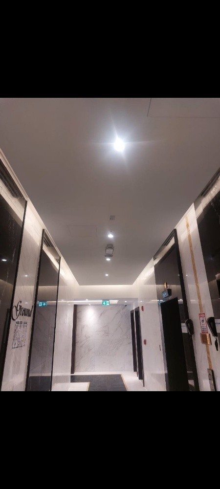 صبغ - 5