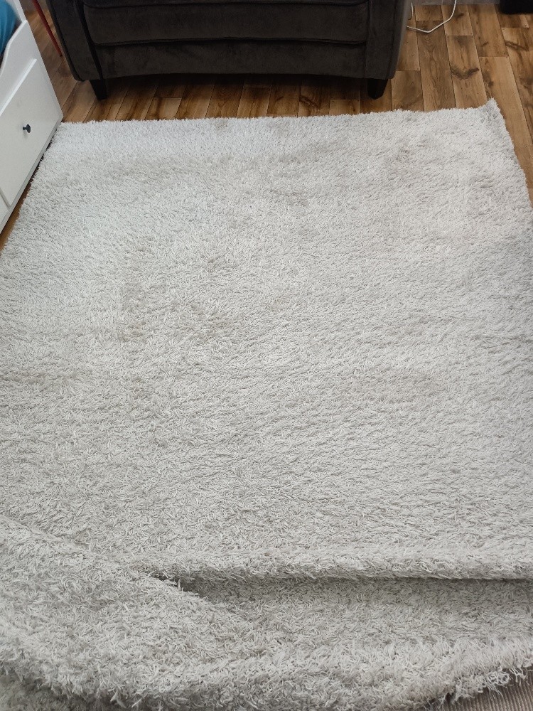 carpet.... - 1