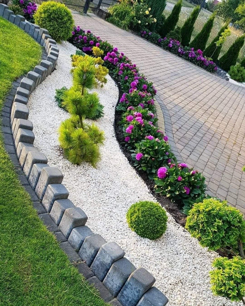 زراعة ورود وأشجار مثمره - 2