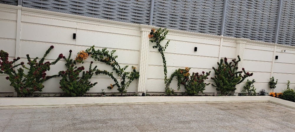 منسق حدائق - 3