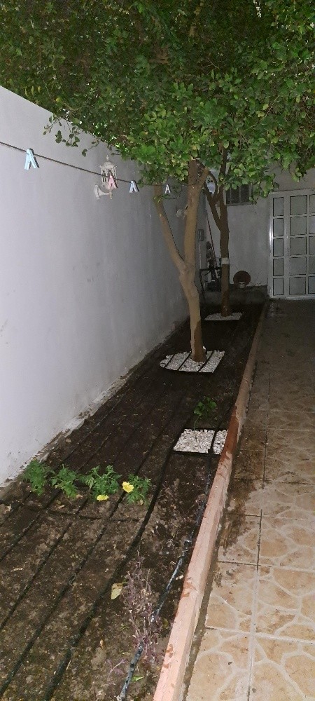 منسق حدائق - 1