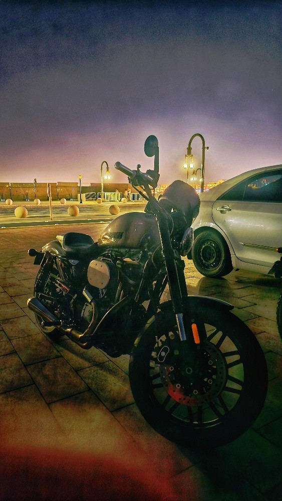 2017 HarleyDavidson Roadster 1200 - 6