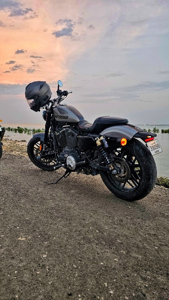 2017 HarleyDavidson Roadster 1200 - 3