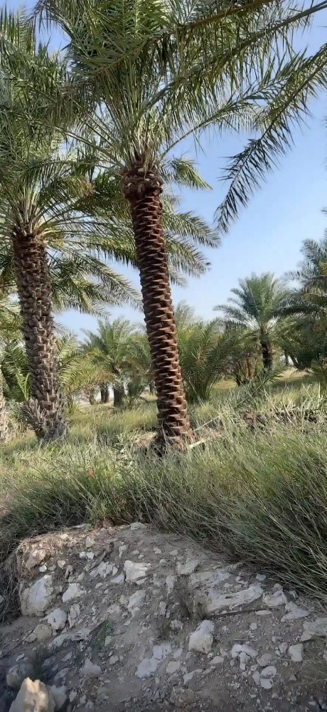 توريد وتركيب - 3