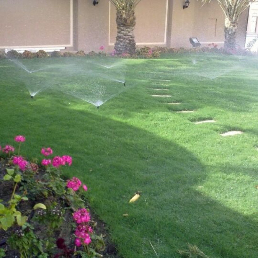 ٥٥٥٦٧٨٤٨ - 5