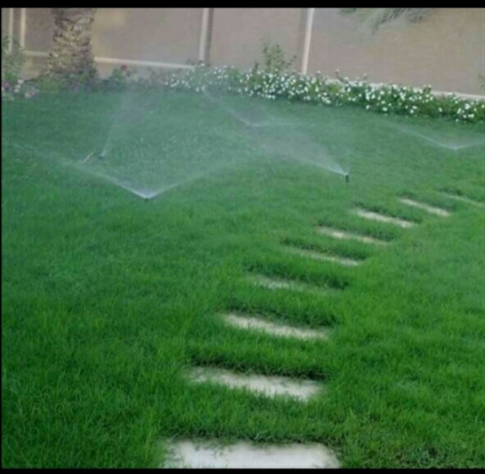 ٥٥٥٦٧٨٤٨ - 7
