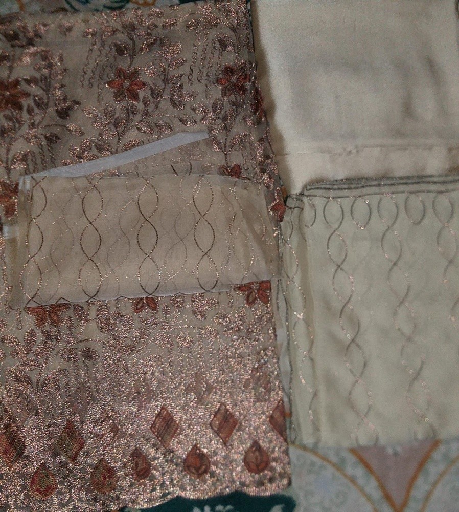 loan pakistani dress - 2