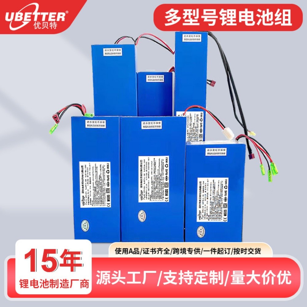 car scooter drift battery charger - 1