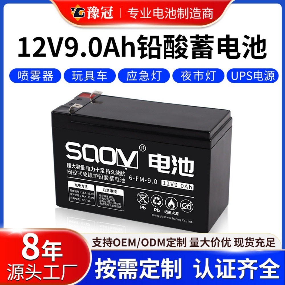 car scooter drift battery charger - 6