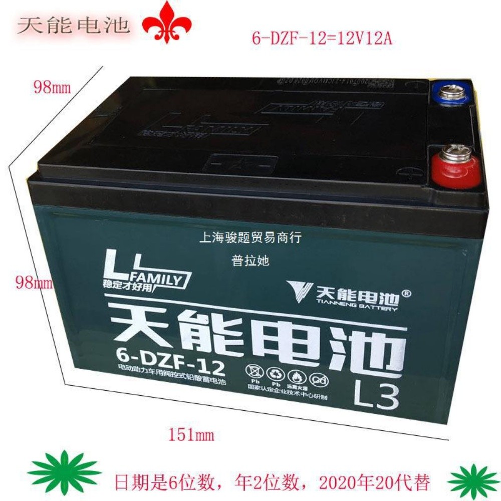 car scooter drift battery charger - 8
