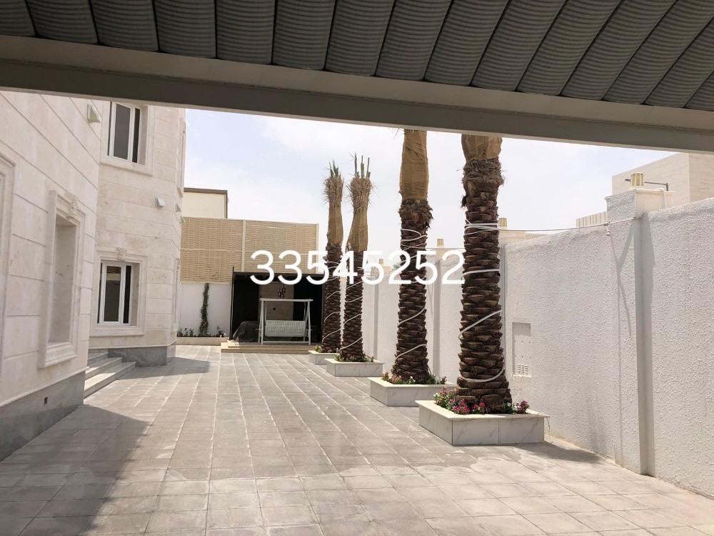 نخل للبيع وتنظيف وتلقيح ورش النخل - 6