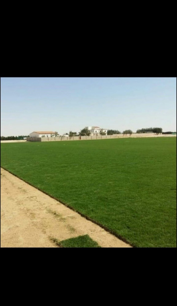 تنسيق الحدائق وديكورات خارجيه - 4