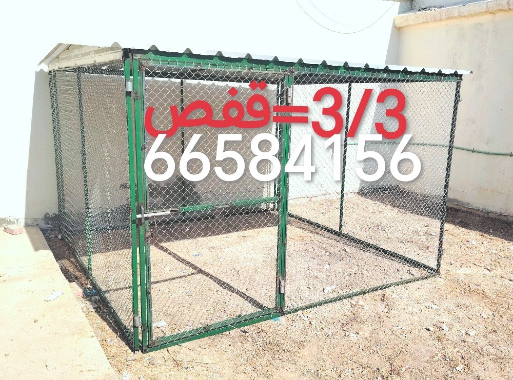 3/3=قفص جديد - 1