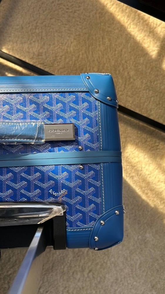luxury goyard bag - 10